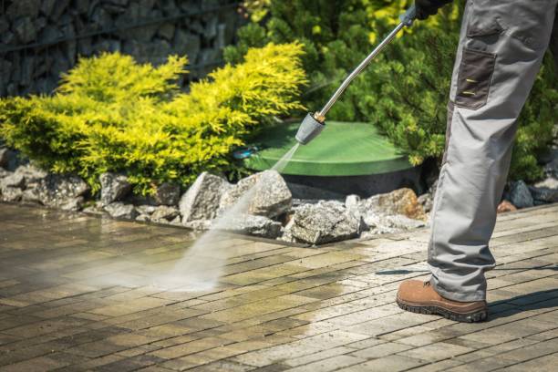 Best Solar Panel Cleaning  in Wurtsboro, NY